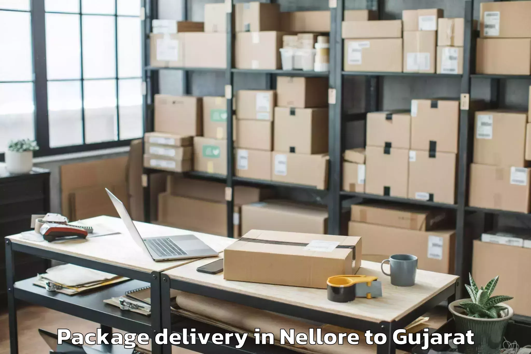 Book Nellore to Jambughoda Package Delivery Online